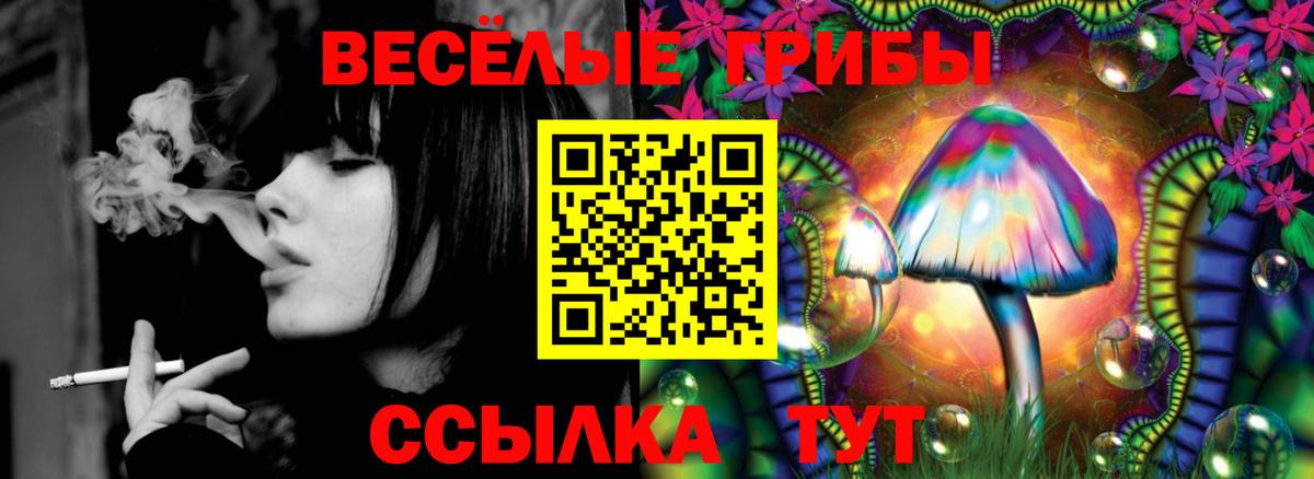 закладка  Псилоцибиновые грибы GOLDEN TEACHER  Екатеринбург  Вход с VPN  Псилоцибиновые грибы GOLDEN TEACHER 